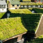 Quel est l'intérêt d'un toit végétalisé ?